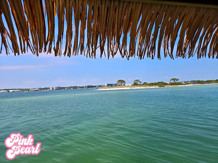 View of calm blue-green sea beneath a thatched roof with distant land and trees.