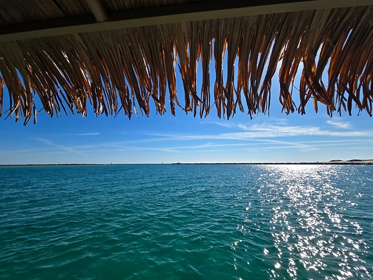 View of ocean under a thatched roof with sunlight reflecting on water.