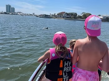 Children in pink hats look at a dolphin from a boat on a sunny day.