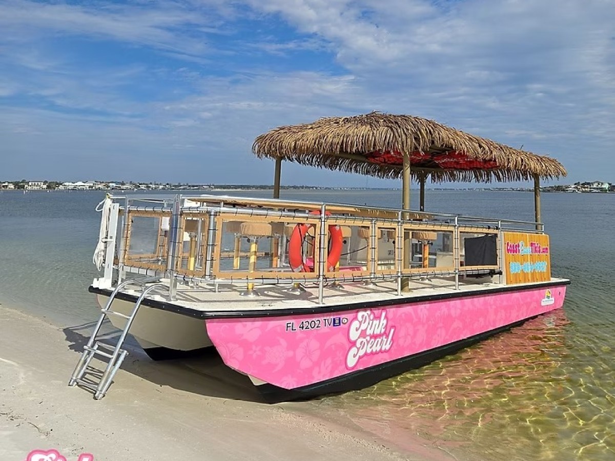 Pink tiki-themed boat with thatched roof docked on sandy beach by calm water and blue sky.